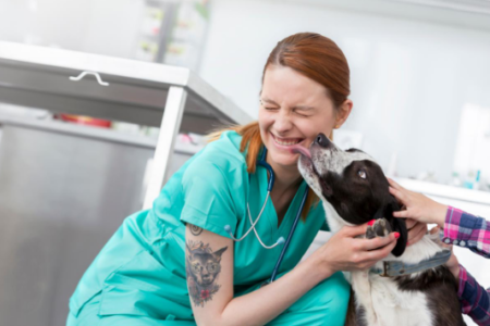 Un LIMS per i nostri amici a quattro zampe (…e i laboratori veterinari)