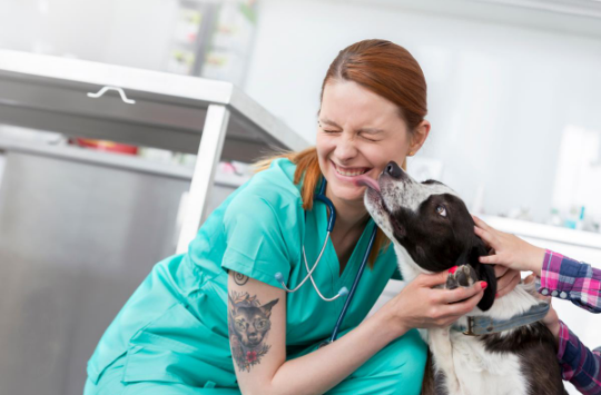 A LIMS for our four-legged friends (…and Veterinary Labs)